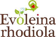 Evoleina Rhodiola Sàrl